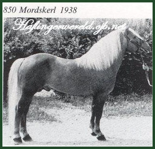 Foto 2 Mordskerl
